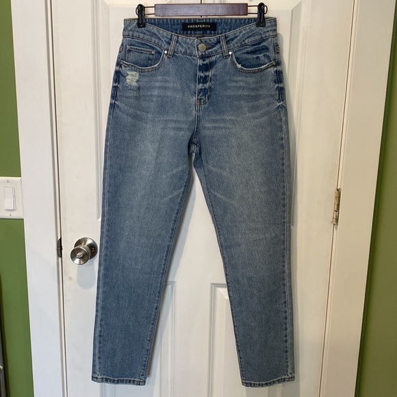 Prosperity Denim High Waist Mom Jeans EUC - Picture 1 of 14